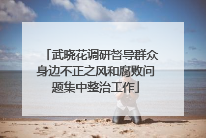 武晓花调研督导群众身边不正之风和腐败问题集中整治工作