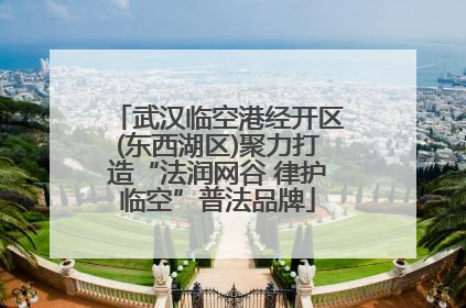武汉临空港经开区(东西湖区)聚力打造“法润网谷 律护临空”普法品牌