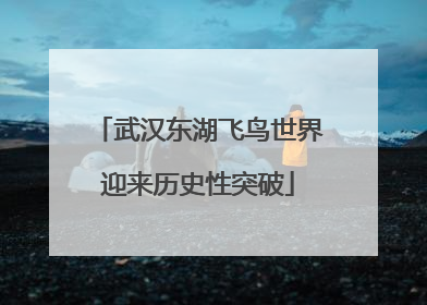 武汉东湖飞鸟世界迎来历史性突破