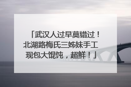 武汉人过早莫错过！北湖路梅氏三姊妹手工现包大馄饨，超鲜！