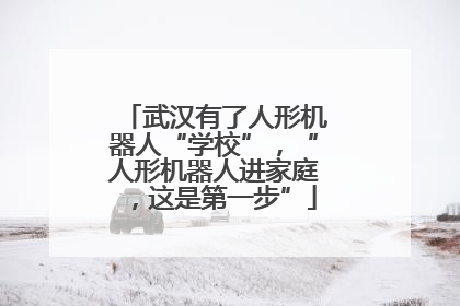 武汉有了人形机器人“学校”，“人形机器人进家庭，这是第一步”