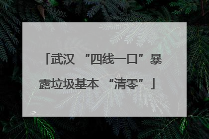 武汉 “四线一口”暴露垃圾基本 “清零”
