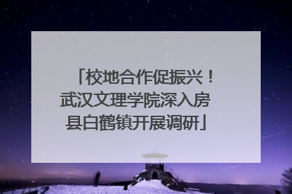 校地合作促振兴！武汉文理学院深入房县白鹤镇开展调研