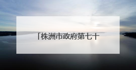 株洲市政府第七十三次常务会议召开 研究低空经济发展、大抓落实等工作