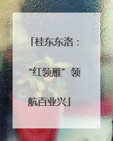 桂东东洛：“红领雁”领航百业兴