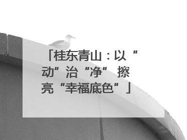 桂东青山：以“动”治“净” 擦亮“幸福底色”