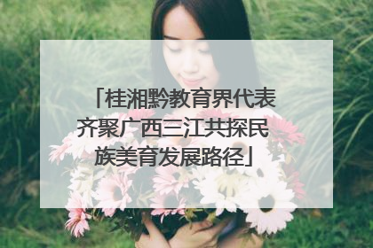 桂湘黔教育界代表齐聚广西三江共探民族美育发展路径