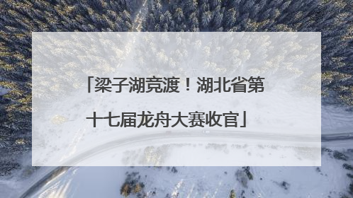 梁子湖竞渡！湖北省第十七届龙舟大赛收官
