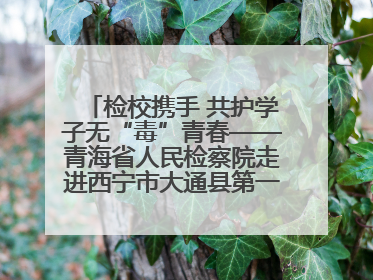 检校携手 共护学子无“毒”青春——青海省人民检察院走进西宁市大通县第一完全中学开展禁毒宣传侧记