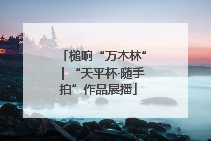 槌响“万木林”｜“天平杯·随手拍”作品展播