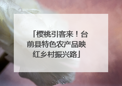 樱桃引客来！台前县特色农产品映红乡村振兴路