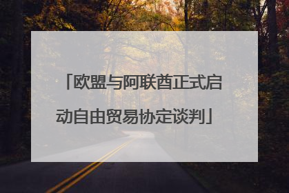 欧盟与阿联酋正式启动自由贸易协定谈判