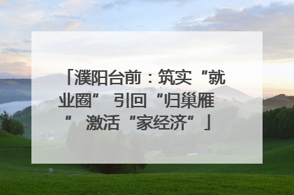 濮阳台前：筑实“就业圈” 引回“归巢雁” 激活“家经济”