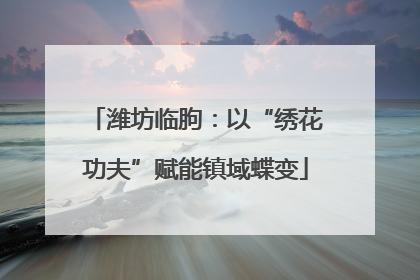 潍坊临朐：以“绣花功夫”赋能镇域蝶变