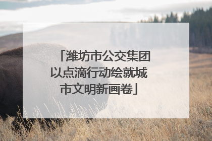 潍坊市公交集团以点滴行动绘就城市文明新画卷