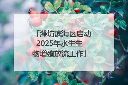 潍坊滨海区启动2025年水生生物增殖放流工作