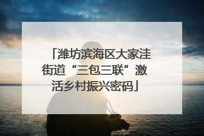 潍坊滨海区大家洼街道“三包三联”激活乡村振兴密码