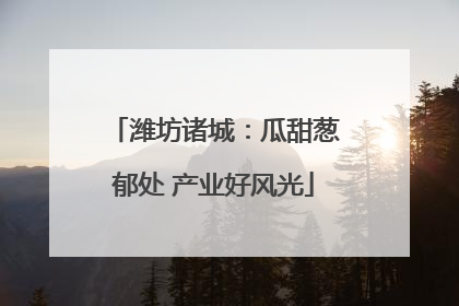 潍坊诸城：瓜甜葱郁处 产业好风光