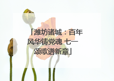 潍坊诸城：百年风华铸党魂 七一颂歌谱新章