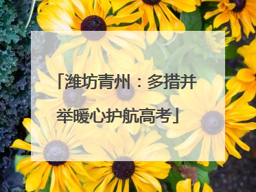 潍坊青州：多措并举暖心护航高考