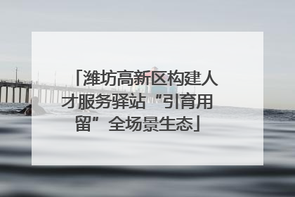 潍坊高新区构建人才服务驿站“引育用留”全场景生态