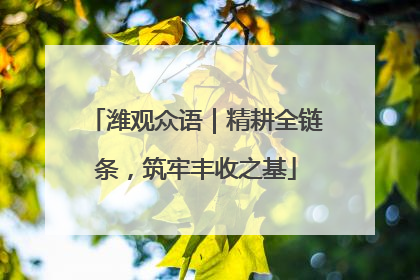 潍观众语｜精耕全链条，筑牢丰收之基