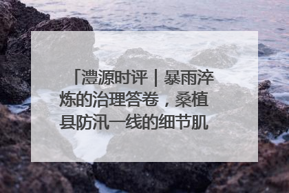 澧源时评｜暴雨淬炼的治理答卷，桑植县防汛一线的细节肌理与体系力量