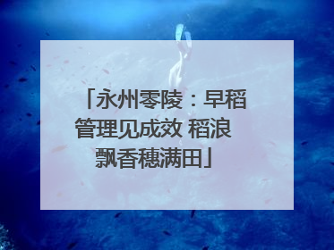 永州零陵：早稻管理见成效 稻浪飘香穗满田