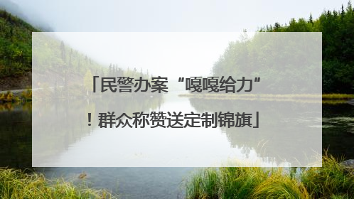 民警办案“嘎嘎给力”！群众称赞送定制锦旗