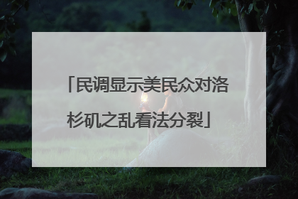 民调显示美民众对洛杉矶之乱看法分裂