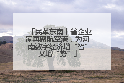 民革东南十省企业家再聚航空港，为河南数字经济增“智”又增“势”