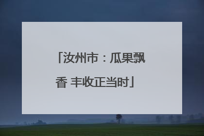 汝州市：瓜果飘香 丰收正当时