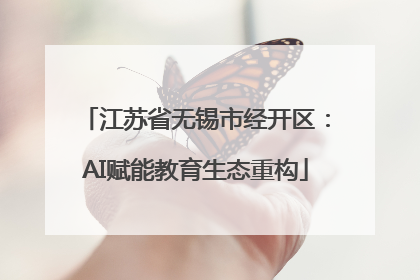 江苏省无锡市经开区：AI赋能教育生态重构