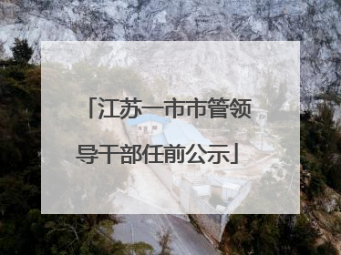 江苏一市市管领导干部任前公示