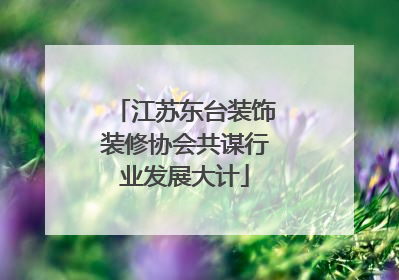 江苏东台装饰装修协会共谋行业发展大计
