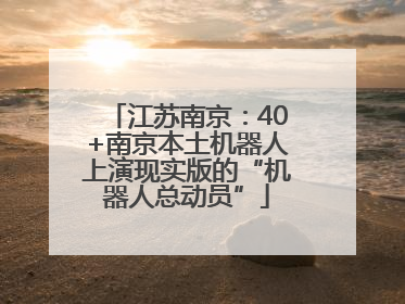江苏南京：40+南京本土机器人上演现实版的“机器人总动员”