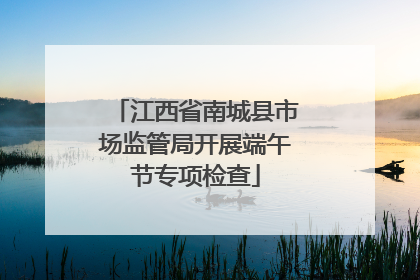 江西省南城县市场监管局开展端午节专项检查