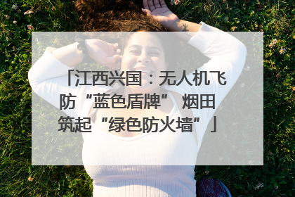 江西兴国：无人机飞防“蓝色盾牌” 烟田筑起“绿色防火墙”