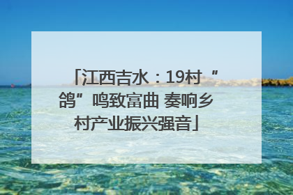 江西吉水：19村“鸽”鸣致富曲 奏响乡村产业振兴强音