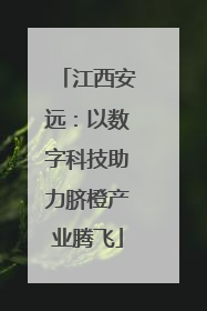 江西安远：以数字科技助力脐橙产业腾飞