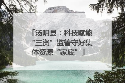 汤阴县：科技赋能“三资”监管守好集体资源“家底”