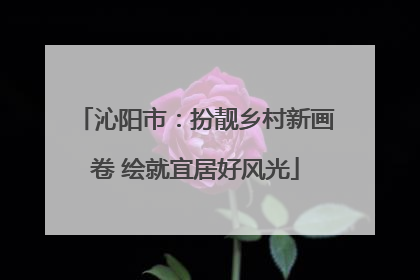 沁阳市：扮靓乡村新画卷 绘就宜居好风光