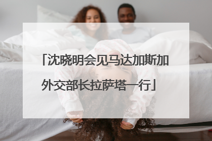 沈晓明会见马达加斯加外交部长拉萨塔一行