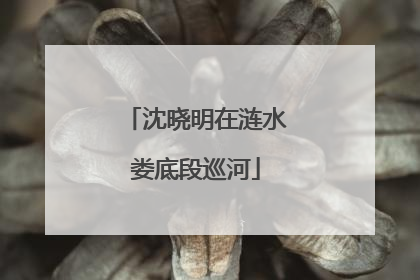 沈晓明在涟水娄底段巡河