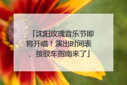 沈阳玫瑰音乐节即将开唱！演出时间表、接驳车指南来了