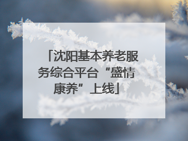 沈阳基本养老服务综合平台“盛情康养”上线