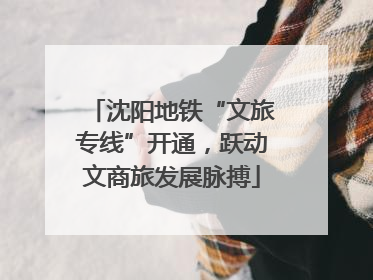 沈阳地铁“文旅专线”开通，跃动文商旅发展脉搏