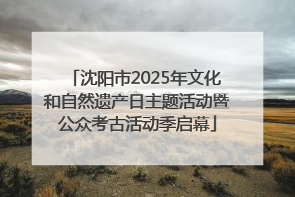 沈阳市2025年文化和自然遗产日主题活动暨公众考古活动季启幕