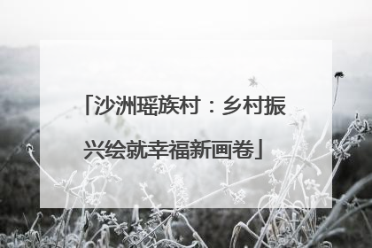 沙洲瑶族村：乡村振兴绘就幸福新画卷