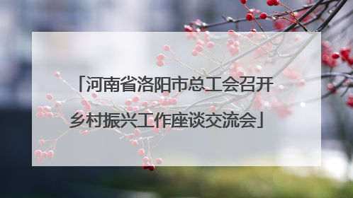 河南省洛阳市总工会召开乡村振兴工作座谈交流会